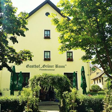 Hotel-Landgasthof Gruener Baum - Dittigheim Tauberbischofsheim Luaran gambar