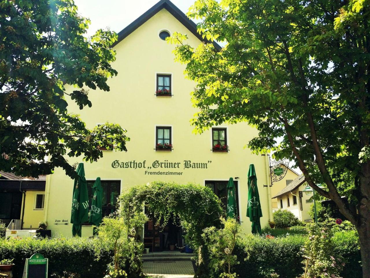 Hotel-Landgasthof Gruener Baum - Dittigheim Tauberbischofsheim Luaran gambar